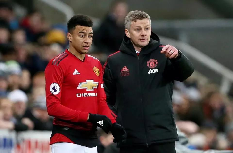 也极大地提 也极大地提